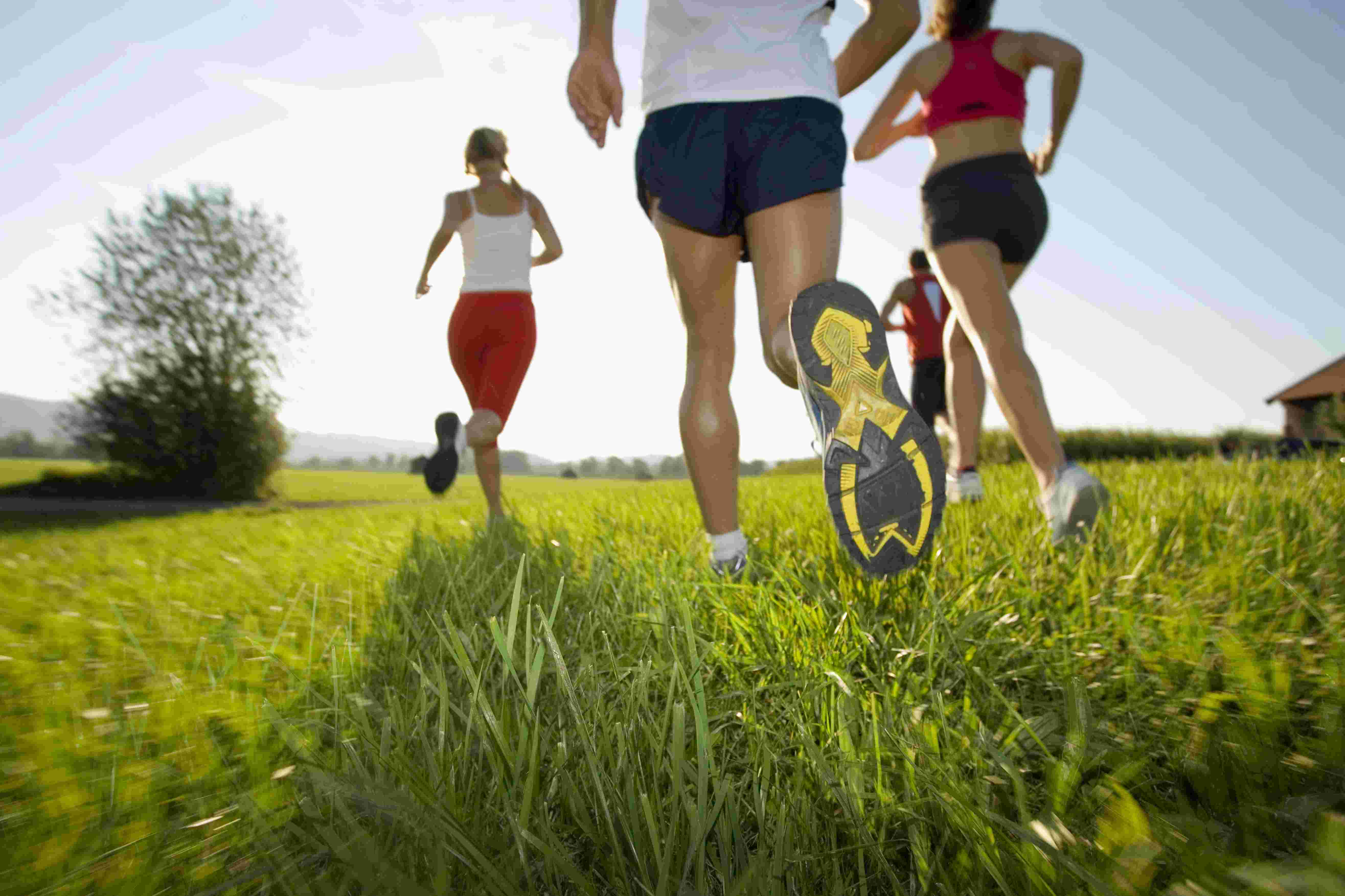 adults-running-through-a-green-field-outdoors-2026-01-11-08-02-03-utc adults-running-through-a-green-field-outdoors-2026-01-11-08-02-03-utc